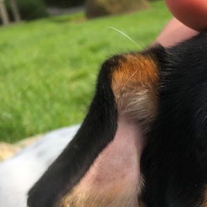 Meet your Posher, Bryan